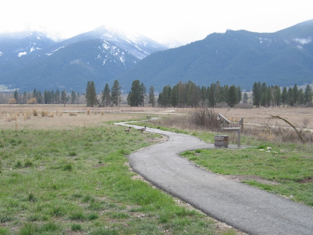 picture showing The trailhead for the newly added Nature Trail is located at the visitors center. The entire trail is paved and provides great opportunities to view a variety of bird species.